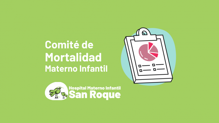Comité de Mortalidad Materno Infantil