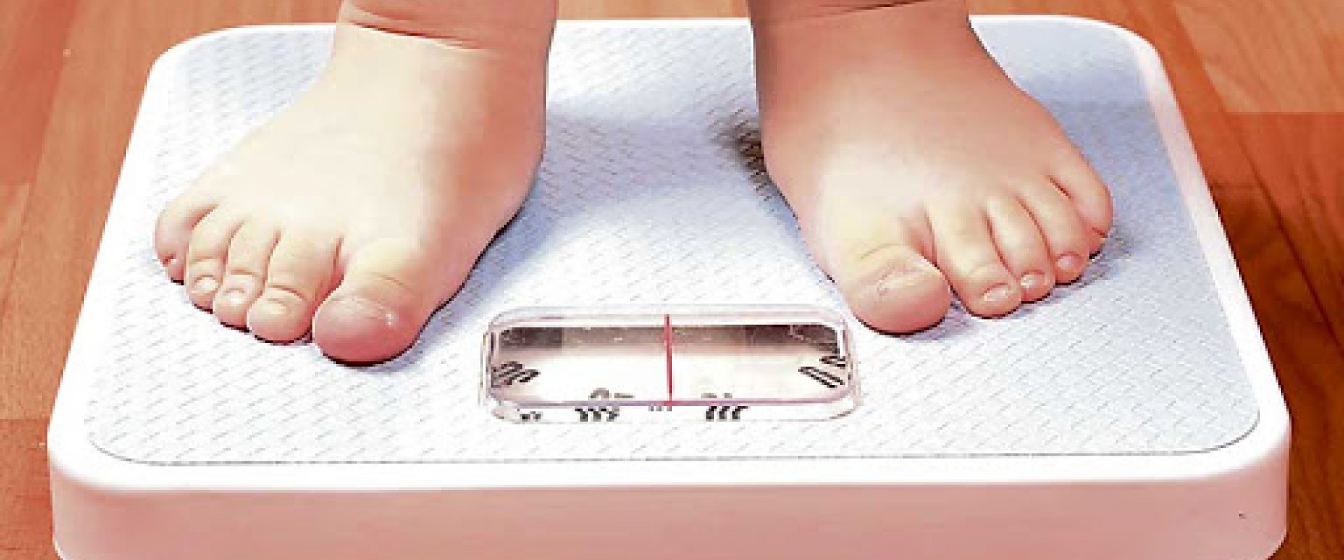 Día Mundial De La Obesidad
