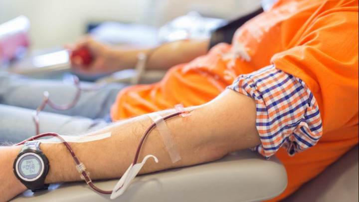 ¿Por qué promovemos la donación voluntaria de sangre?